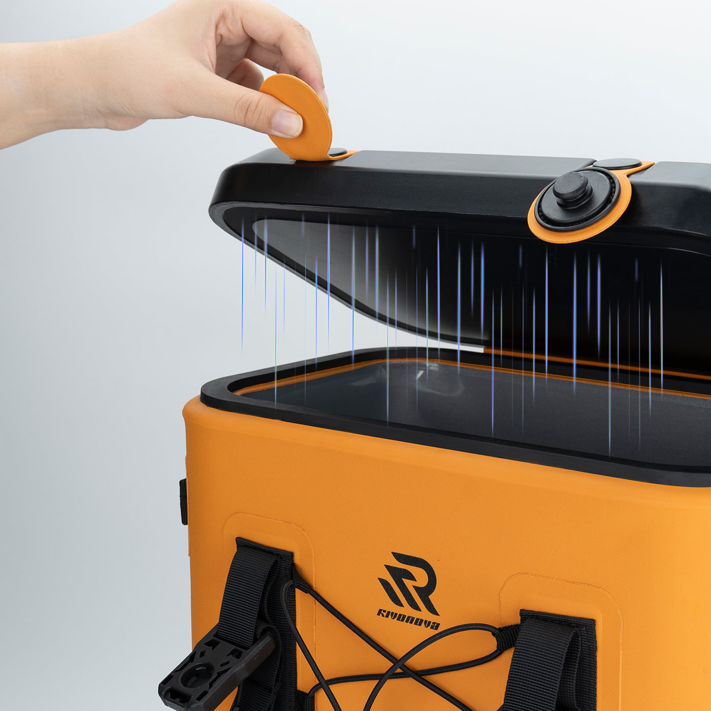 #Color_Orange