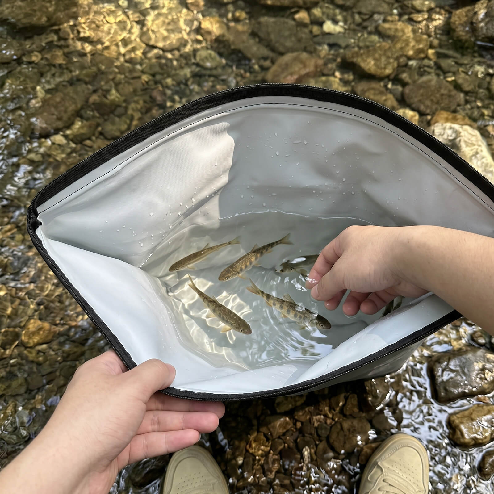 fishes in the roll-top backpack cooler