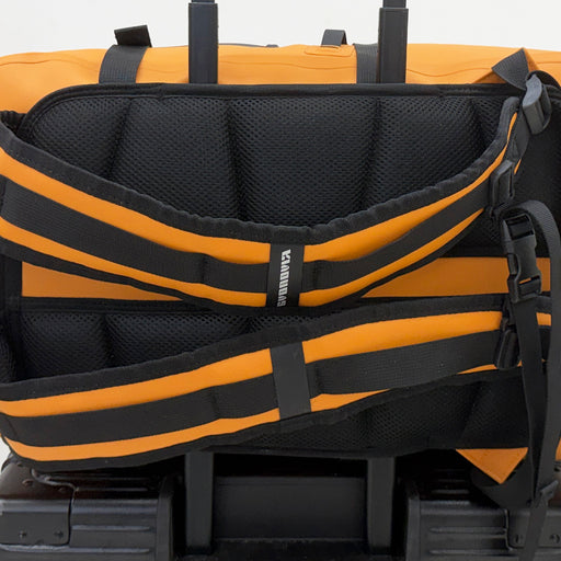 Luggage Pass-Through detail
